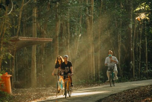Tour Du Lich Nam Cat Tien Thu Duc Travel