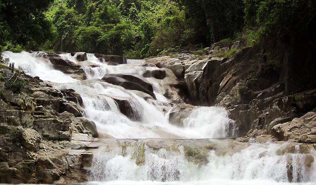 Vuon Quoc Gia Nam Cat Tien 1