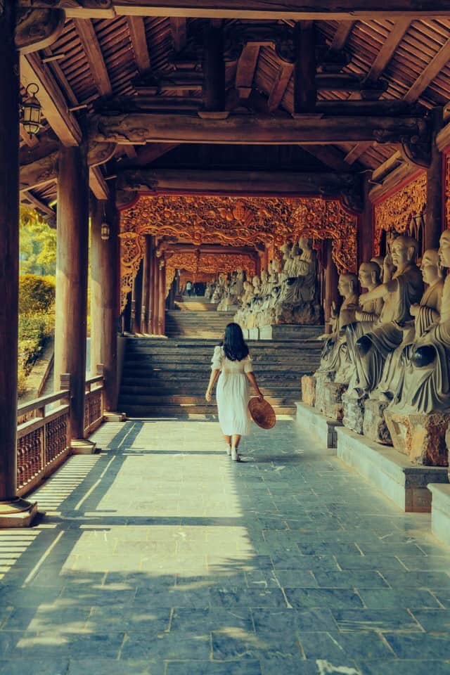 495965221 1384213337045158 9123630345995416415 n