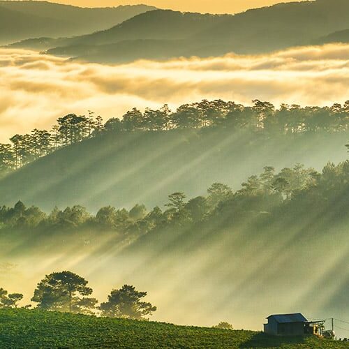 đồi măng lin Đlat