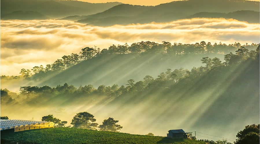 đồi măng lin Đlat