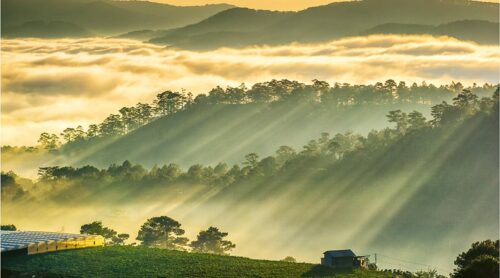 đồi măng lin Đlat